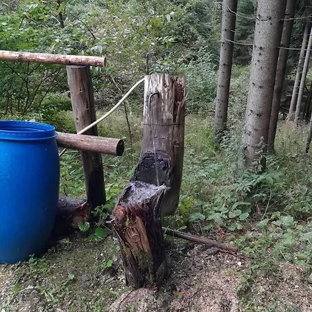 Wooden Treasure * ゴレンスカ地方