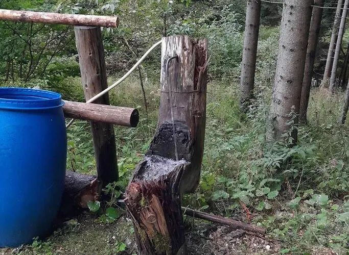 Wooden Treasure * Jesenice